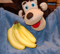 Spike with bananas